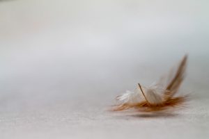 pen, background, minimalism-4227296.jpg