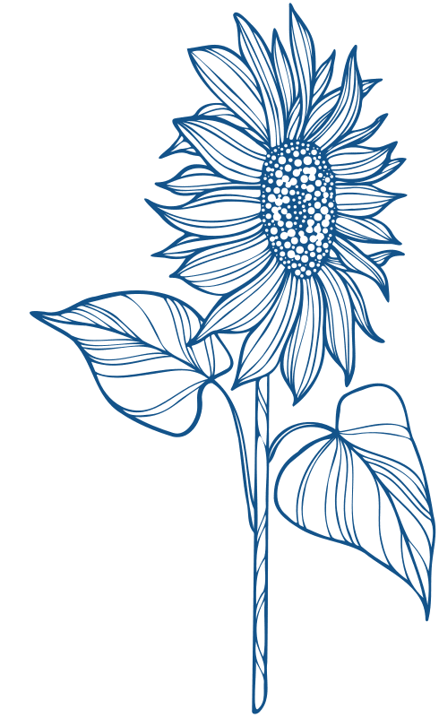 Blue Side Sunflower